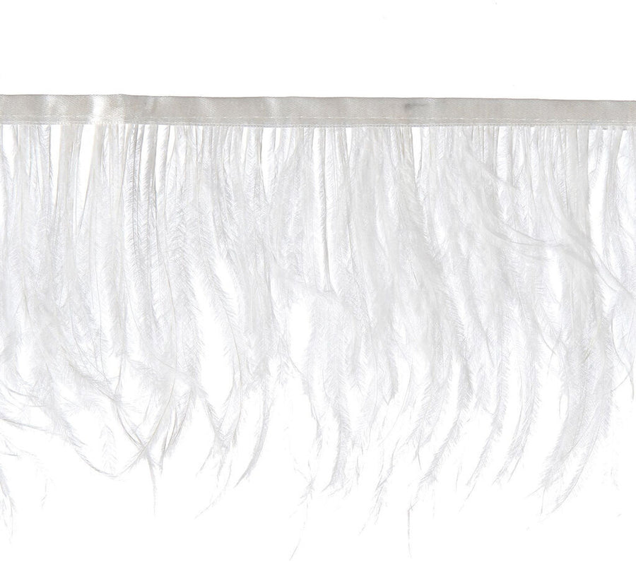 Ostrich Feather Fringe 3.5W