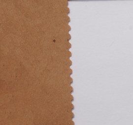 Serrated Paper Edger Scissors
