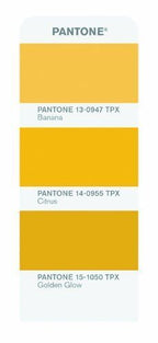 User flipping through the Pantone FGP120 Colour Guide