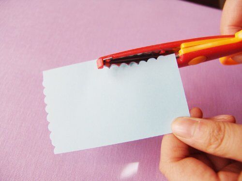 Close-up of stainless steel blades on the edger scissors