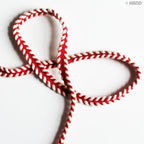 Close-up of BRT10 Red with White Edges Cord Rope Trim showing texture.