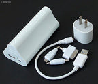 Power bank with multiple USB ports for devices