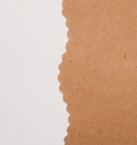 Variety of paper crafts featuring sun flower edged scissors