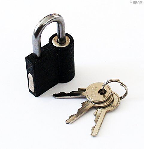 Two metal luggage padlocks displayed on a white background