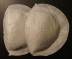 Close-up view of the white raglan shoulder pads showing texture.