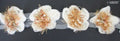 Decorative knitted white flower trim with pearl edges