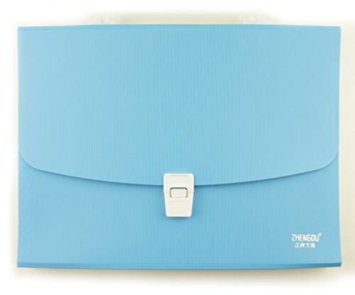 Sky blue A4 concertina document wallet case with 12 compartments.