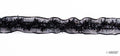 Black decorative satin ribbon elastic trim with sequins