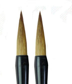 Close-up of the bristles on a Sumi brush for calligraphy.