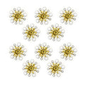 Close-up of white enamel and brass flower sew-on trim.
