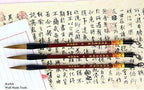 Close-up of the brush bristles showcasing their fine quality.