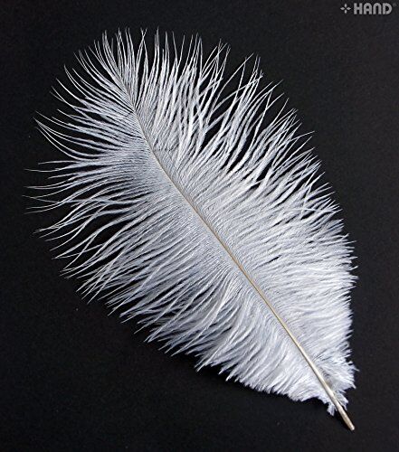 Various angles of sea blue ostrich feathers in a pack