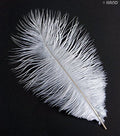 Various angles of sea blue ostrich feathers in a pack
