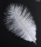 Various angles of sea blue ostrich feathers in a pack