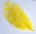 Natural Ostrich Feathers appx 10" - Pack of 10 (yellow)
