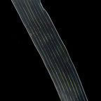 Close-up of the crochet edge detail on organza trim