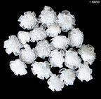F15 Assorted Colours Decorative DIY Craft Flower Trims, 20 a Pack (F15-1 White)