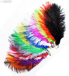 Natural Ostrich Feathers appx 10" - Pack of 10 (sea blue)