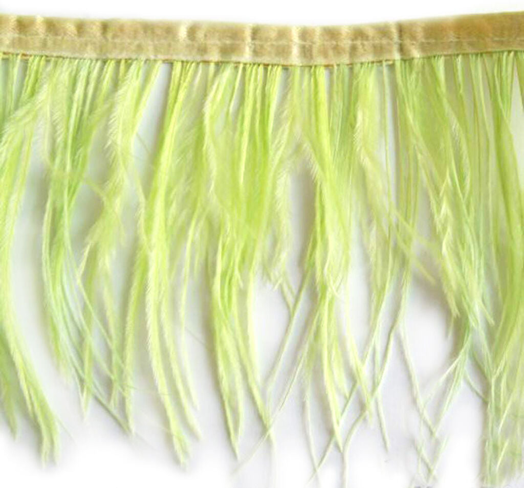 Light green ostrich feather fringe trim displayed on a white background.
