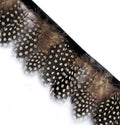 Close-up of Black Natural Guinea Fowl Feather Fringe