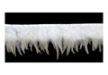 Natural white duck feather fringe trim displayed on a roll.