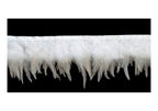 Natural white duck feather fringe trim displayed on a roll.