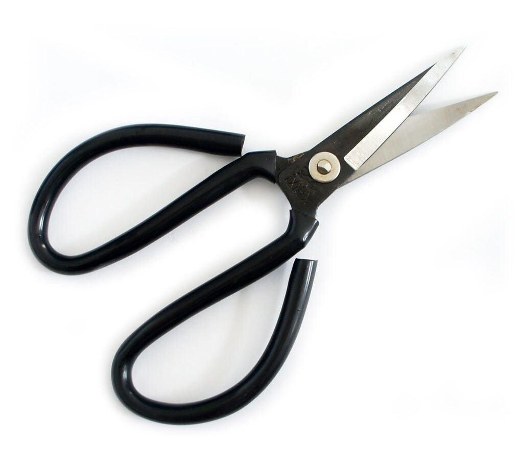 No 6 professional curved scissors with pointed tips