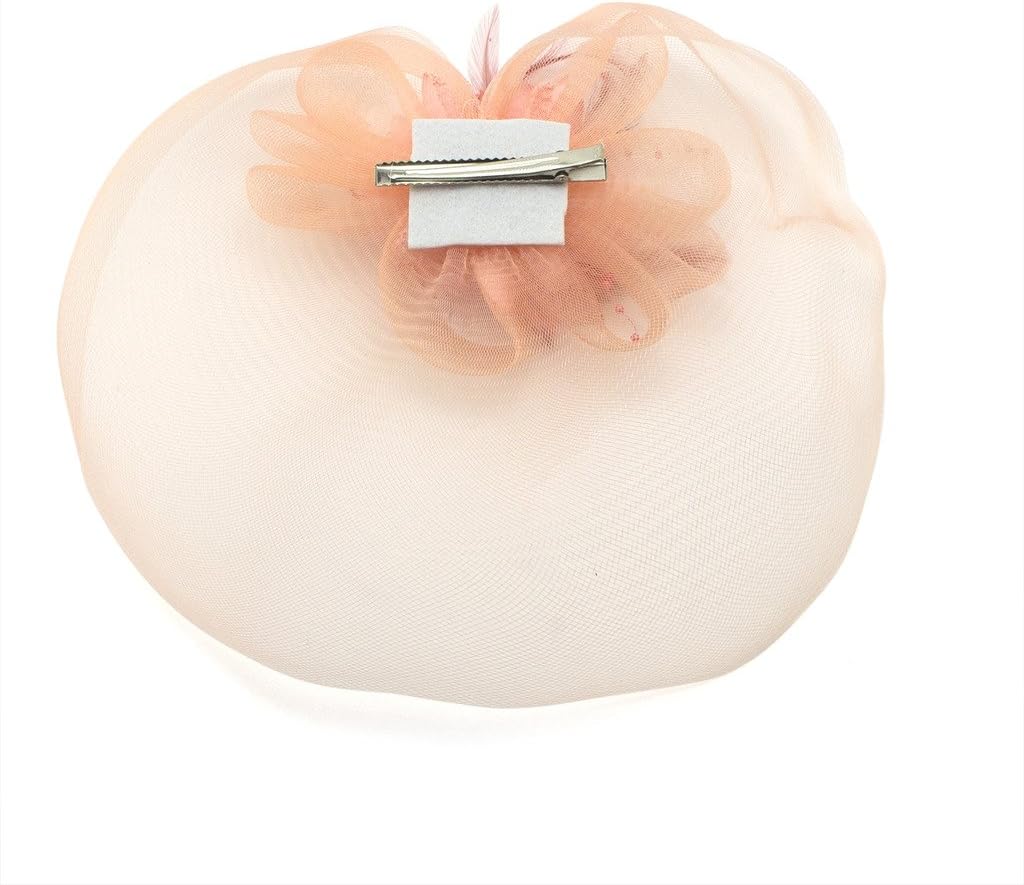 Ladies' Fashionable Feather Flower Bead Detailed and Mesh Ascot/Derby Day Fascinator Hat Headdress - Pale Pink