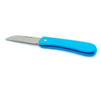 Close-up of the 7cm blade on a folding picnic knife