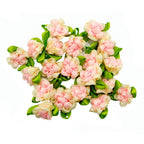Light pink double colour ribbon flower trim on a white background