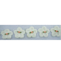 Knitted snow white flower decorative trim with net backing.