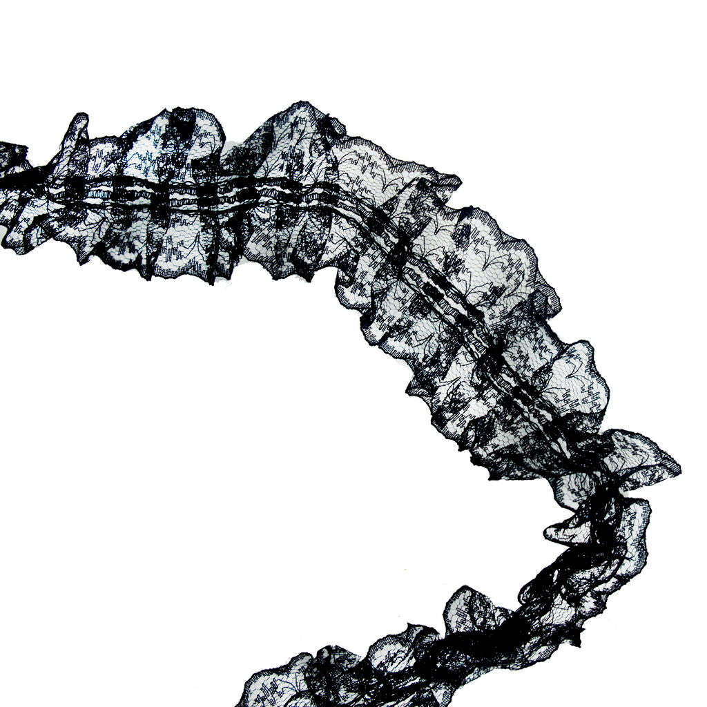 Close-up of black lace trim border showing intricate design