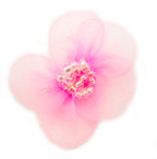 Organza flower trim in pink for garment embellishment