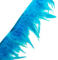 Bright blue rooster feather fringe trim displayed on a white background.