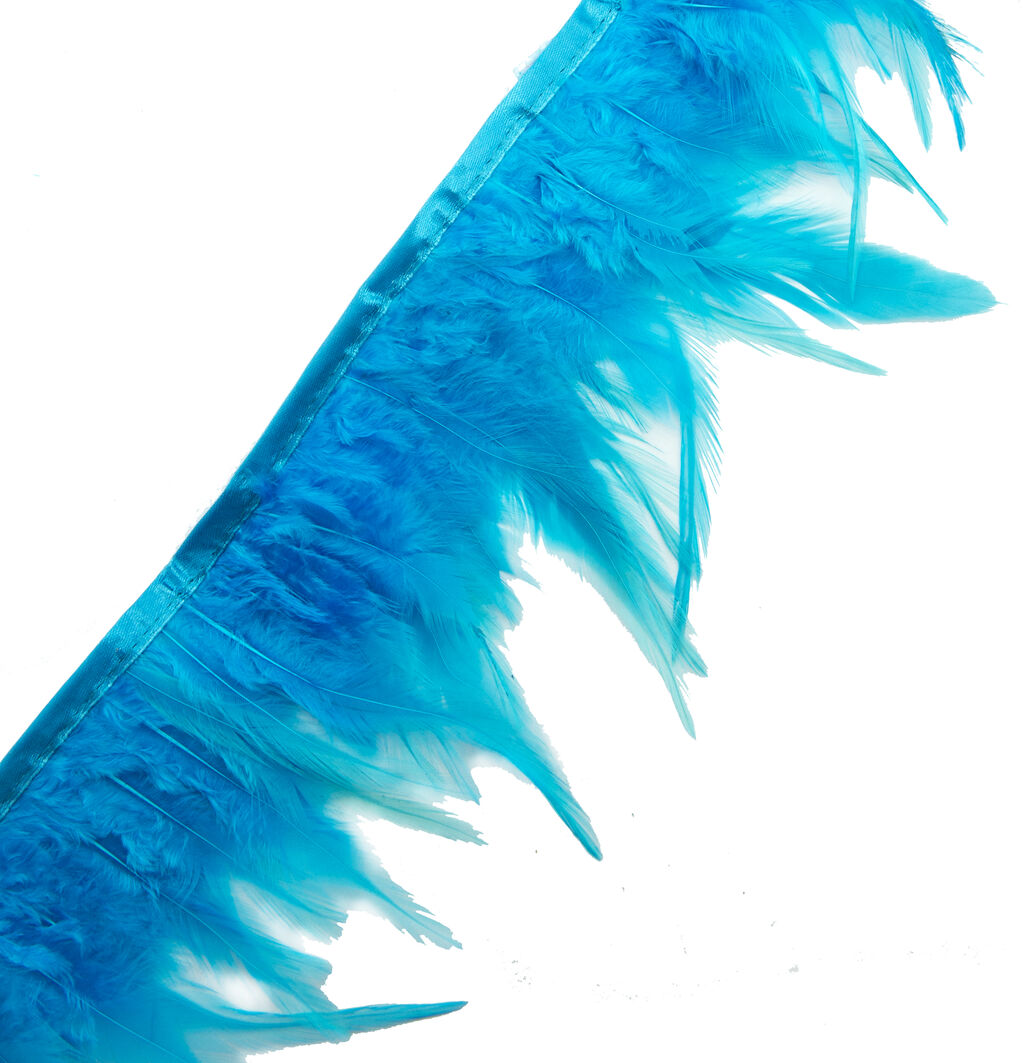 Bright blue rooster feather fringe trim displayed on a white background.