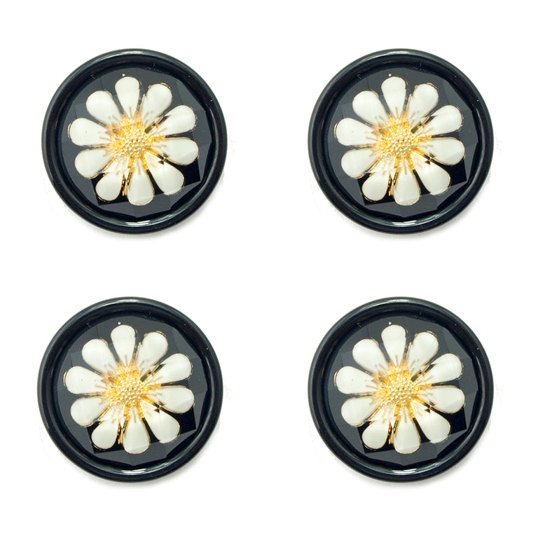Set of 4 white and gold tone chamomile flower buttons in black acrylic setting.