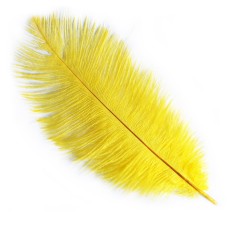 Natural Ostrich Feathers appx 10" - Pack of 10 (yellow)
