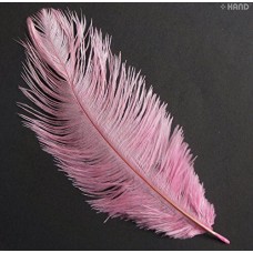Natural Ostrich Feathers appx 10" - Pack of 10 (baby pink)