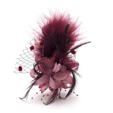 Ladies' Fashionable Soft Feather Net Ascot/Derby Day Fascinator Headdress - Wine