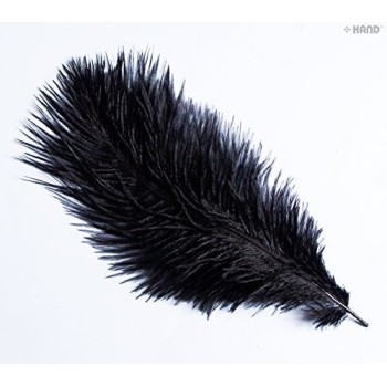 Natural Ostrich Feathers appx 10" - Pack of 10 (black)