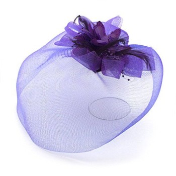 Ladies' Fashionable Feather Flower Bead Detailed and Mesh Ascot/Derby Day Fascinator Hat Headdress - Purple