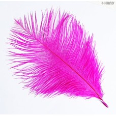 Natural Ostrich Feathers appx 10" - Pack of 10 (hot pink)