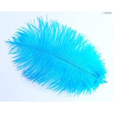 Natural Ostrich Feathers appx 10" - Pack of 10 (sea blue)