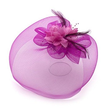 Ladies' Fashionable Feather Flower Bead Detailed and Mesh Ascot/Derby Day Fascinator Hat Headdress - Deep Pink