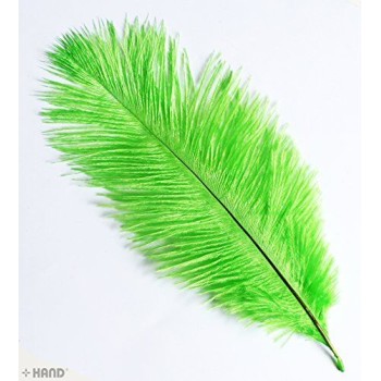 Natural Ostrich Feathers appx 10" Assorted Colours - Pack of 10 (light green)