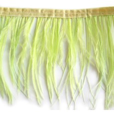 Light Green Ostrich Feather Fringe 4" x 3m