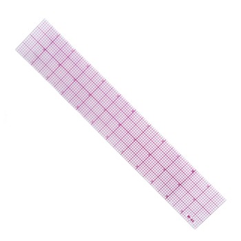 10ths Graph Ruler W66 - 12"