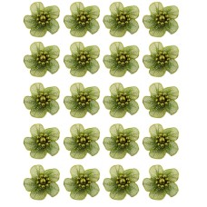 HAND® Barley Green Pretty Shiny Mesh and Bead Cluster Flower Trims for Clothing Embellishment - Pack of 20